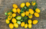 Organic Cherry Tomato Yellow