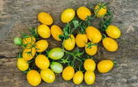 Organic Cherry Tomato Yellow