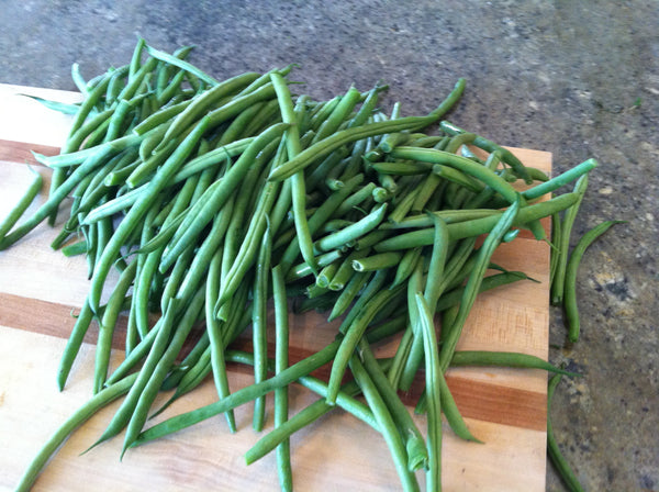 Organic French Beans / Ring Beans