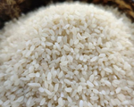 Organic Jeera Samba Rice (Seeraga samba)