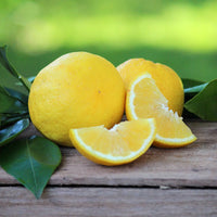 Organic Lemon-1Kg-OFFER-BIG