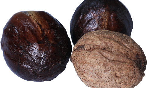 Organic Nutmeg/Jaifal/Javitri