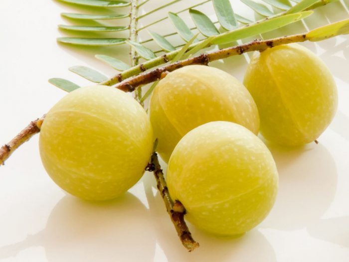 Organic Gooseberry / Amla – GreenDNA® India