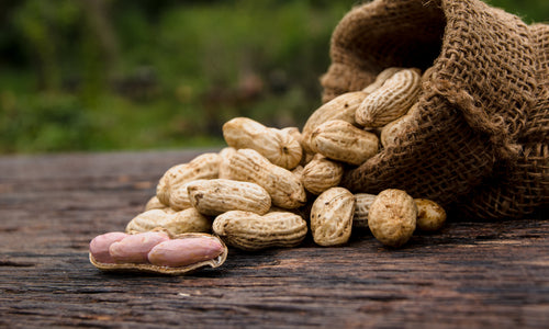 Organic Peanuts/Groundnut with shell-Fresh harvest