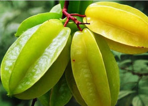 Organic Star fruit