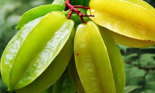 Organic Star fruit